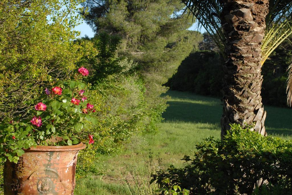 La Bellonette Marseillan  Exteriör bild